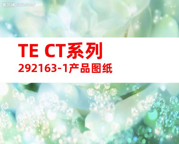 TE CT系列 292163-1产品图纸